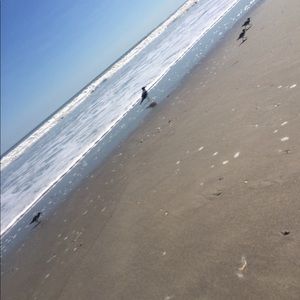 Meet your Posher, Hali